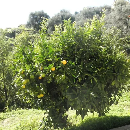 דירה Casa Marisa
